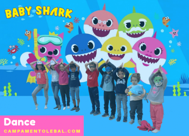 campamento lebal campamento de verano pamplona